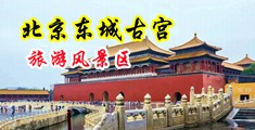 操逼汇编视频中国北京-东城古宫旅游风景区